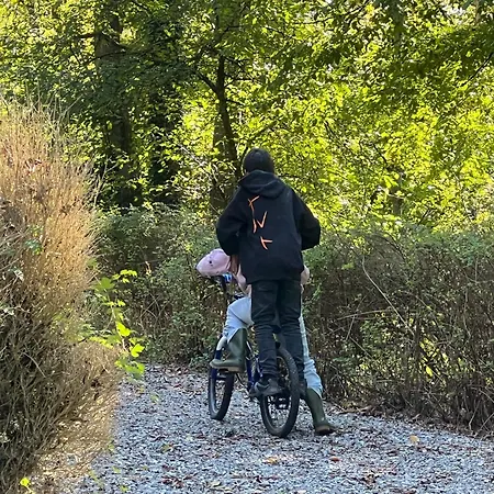 De Goudvink *