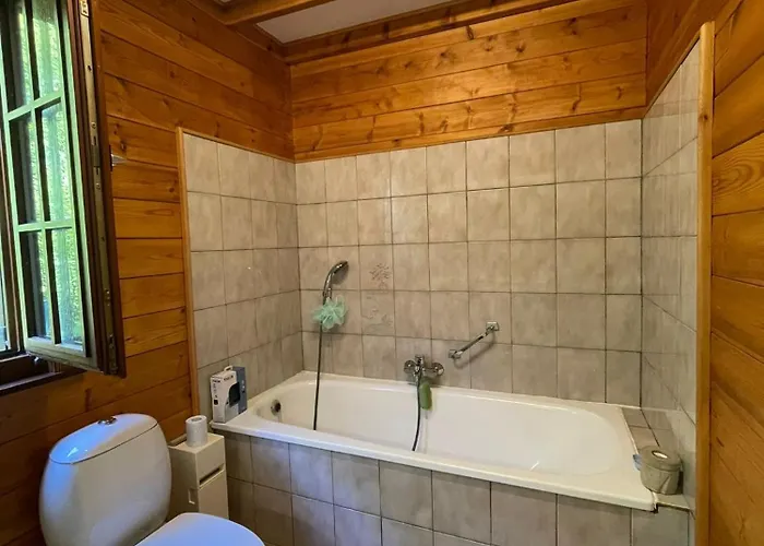 De Goudvink * Les Flachis